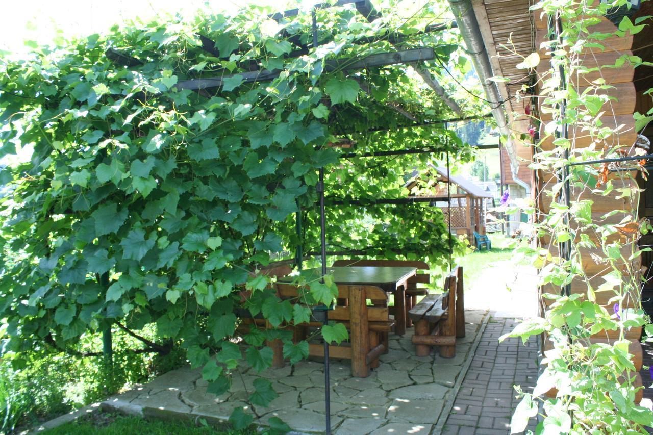 Krokus House Verkhovyna Extérieur photo