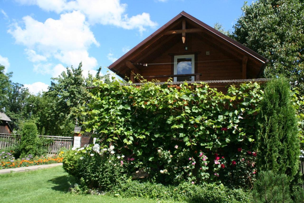 Krokus House Verkhovyna Extérieur photo